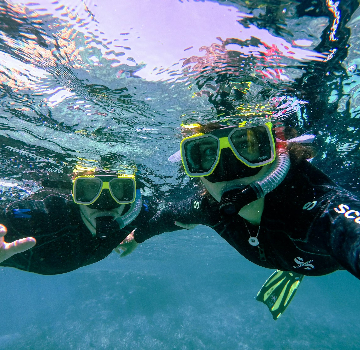 Snorkeling com Certificação Internacional SSI 