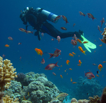 Advanced Open Water Diver (SSI)