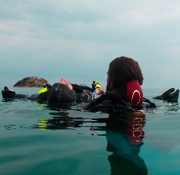Diver Stress and Rescue (SSI)